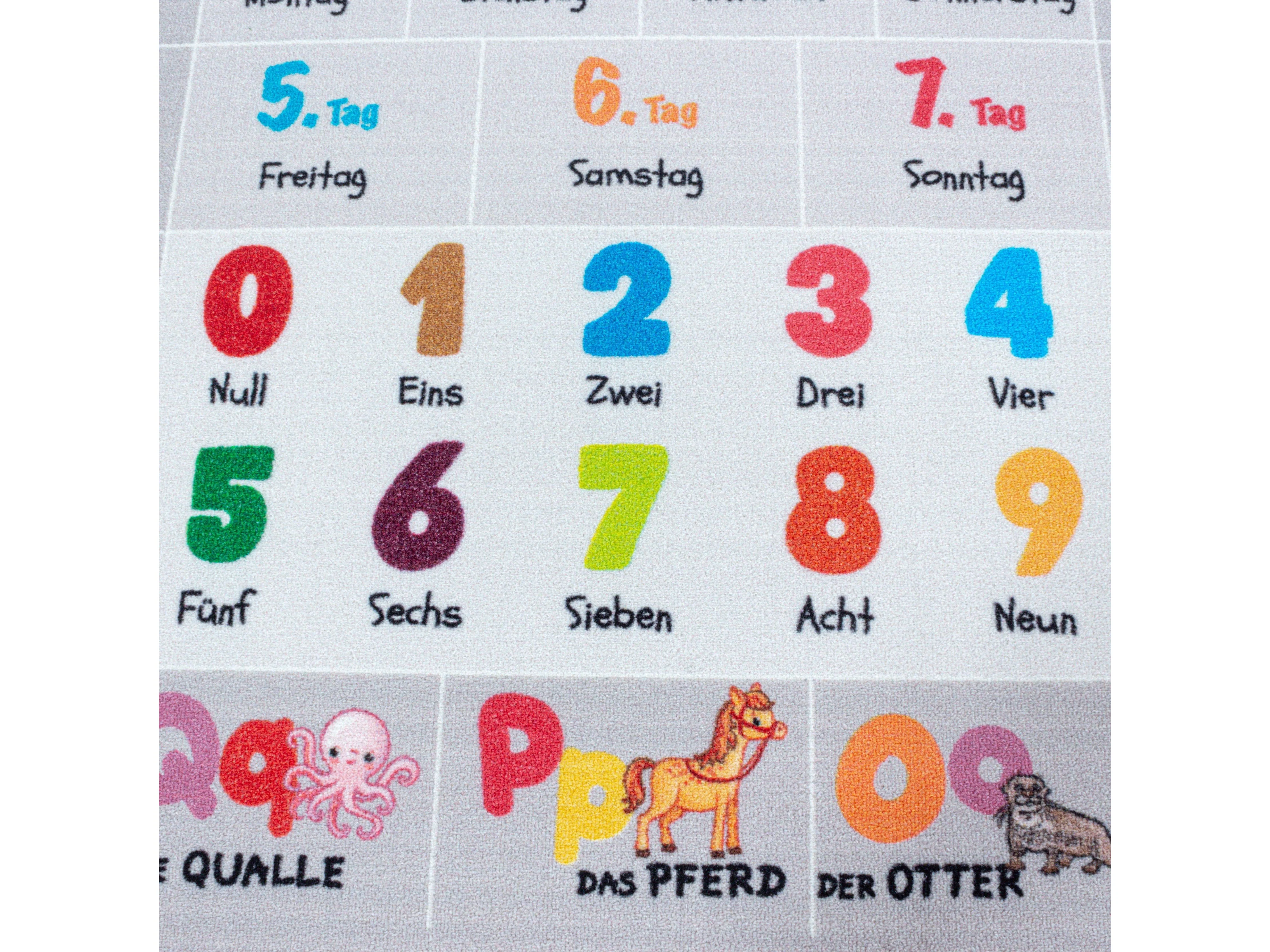 Kurzflor Kinderteppich Spielteppich Teppich Buchstaben Zahlen Jahreszeiten Grau - Image 5